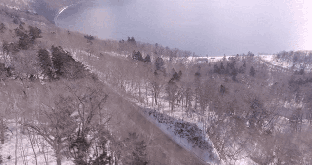 눈 덮인 숲과 구불구불한 도로