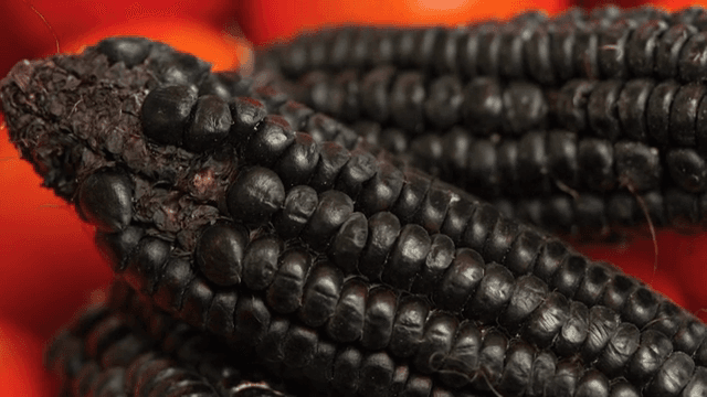 검은 옥수수와 토마토의 근접 촬영