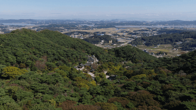 사찰을 둘러싼 무성한 숲