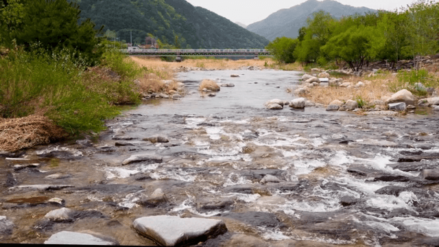 계곡을 흐르는 고요한 강