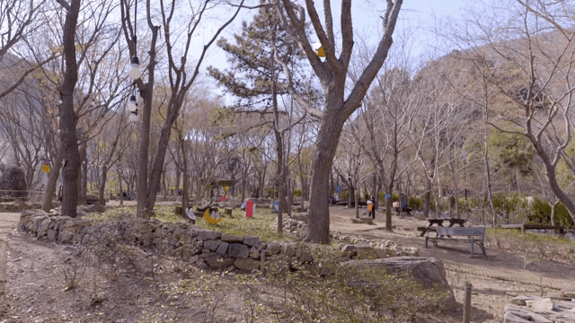 나무와 벤치가 있는 평화로운 공원