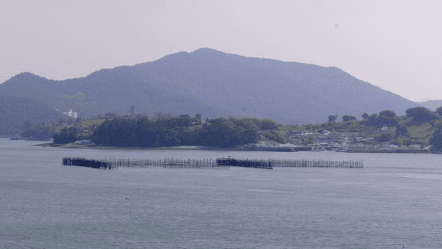 Large fish farm structure in a calm sea