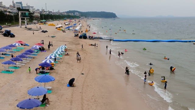 바다를 즐기는 사람들로 붐비는 해변