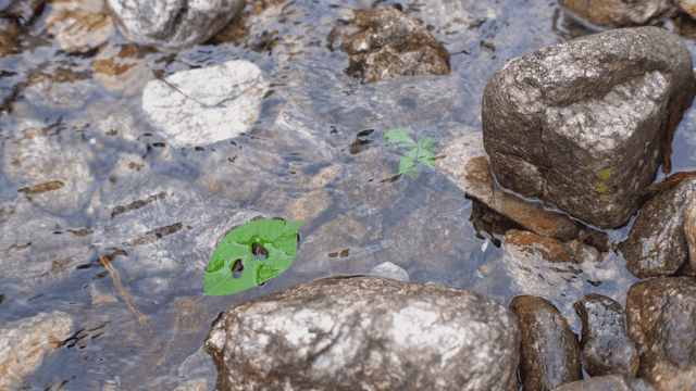 Clear water flowing over river rocks