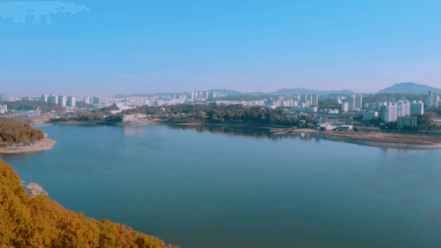A city skyline with a river and autumn forest