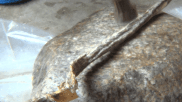 망치로 펴지는 말린 대갱이