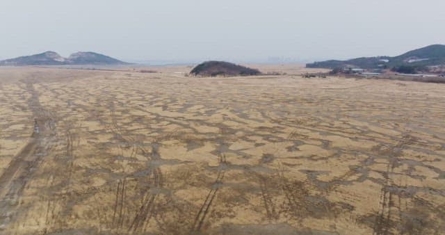 멀리 언덕이 보이는 넓은 들판