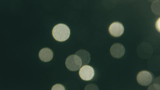 투명하고 맑은 물에서 떠오르는 기포