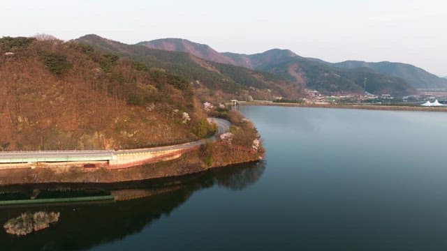 Serene lakeside road with cherry blossoms