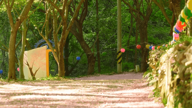 Forest path with colorful lanterns