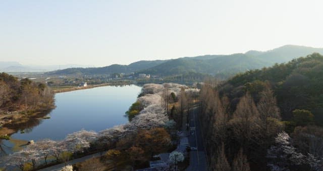 Scenic riverside with mountains and cherry blossoms in spring