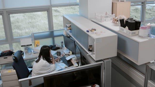 Office Worker at Desk with Computer