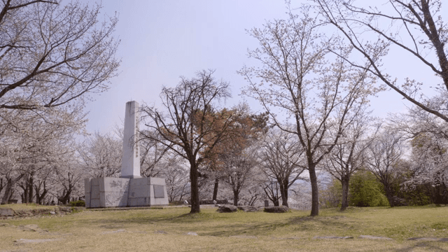 Cherry blossoms and a monument in a park