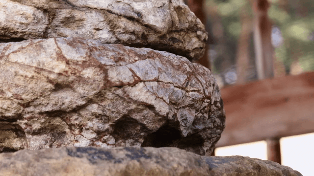 Close-up of textured rocks in a natural setting
