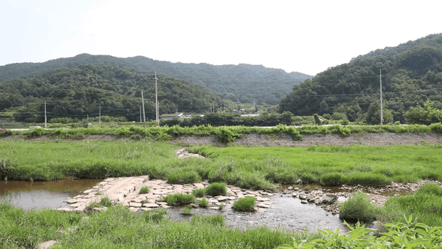 Serene river flowing through lush greenery