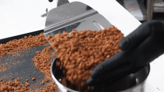 Hand putting roasted grains into blender in kitchen