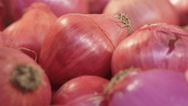 신선한 적양파의 근접 촬영