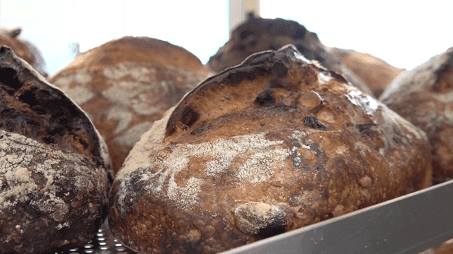 Steaming on shelf freshly baked country bread