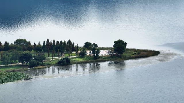 나무가 있는 고요한 호숫가 공원