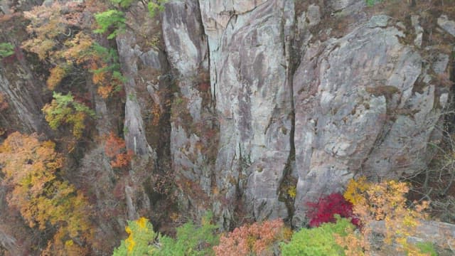 Rocky cliffs with autumn foliage