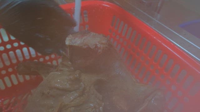 Rinsing boiled pig's feet in water in the kitchen