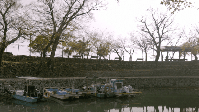 Boats docked by a serene lakeside