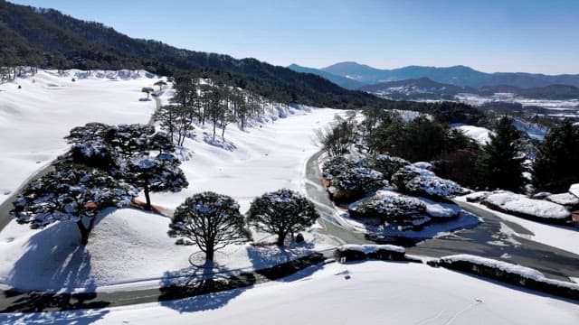 Snow-Covered Mountainous Landscape with Road