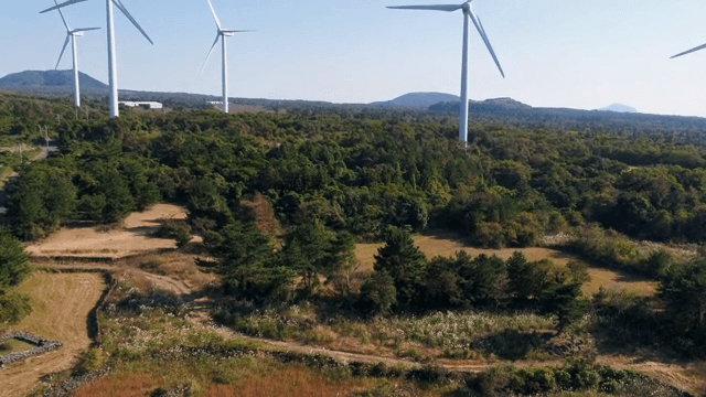 푸른 숲 속의 풍력 터빈