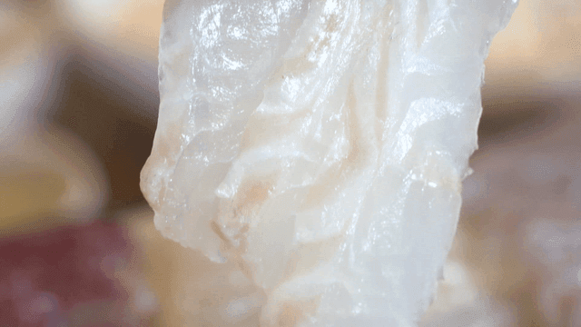 Piece of raw fish held with chopsticks