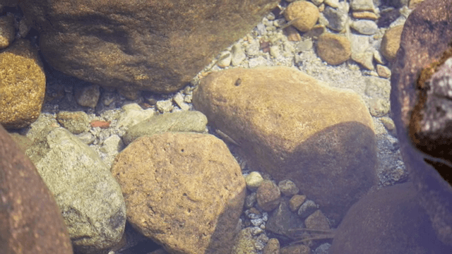 강의 돌 위로 흐르는 맑은 물