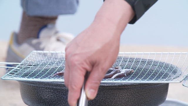 집게를 사용하여 작은 그릴 위에 멸치를 굽는 모습