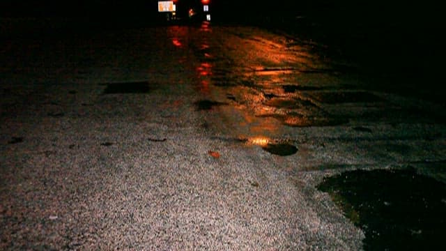 비오는 길 위를 기어가는 홍게