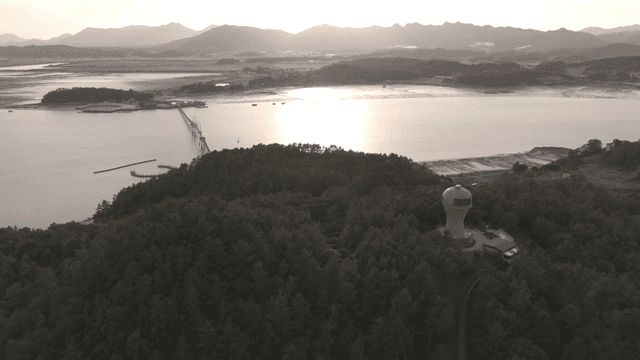 Coastline and forest scenery