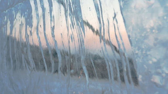 비닐벽에 낀 서리가 만들어낸 추상적인 무늬