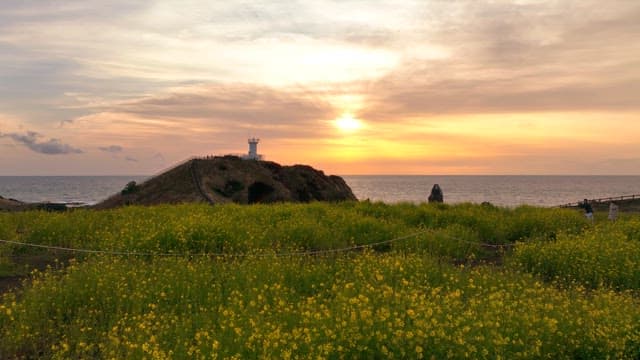 Sunset over a coastal hill with a lighthouse