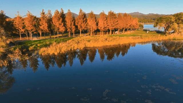 알록달록한 나무들로 둘러싸인 고요한 호수