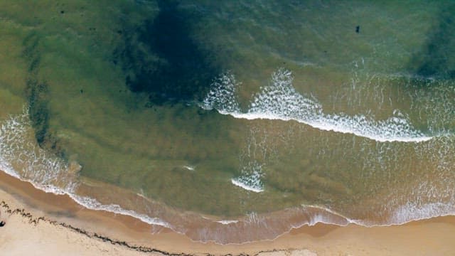 Aerial View of a Serene Beach Shoreline