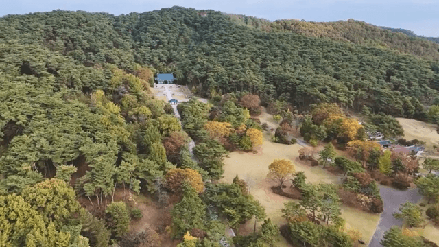 Scenic park with autumn foliage