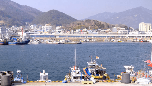 배와 건물이 있는 고요한 항구