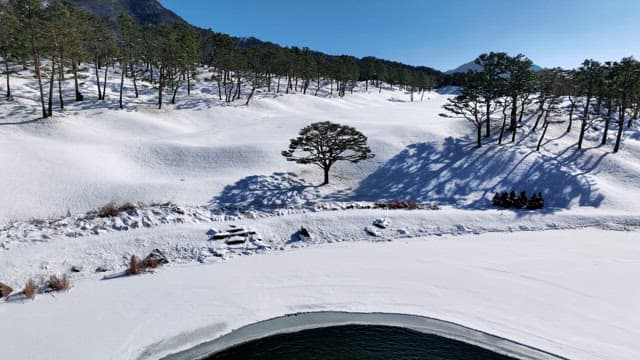 Snow-covered Landscape with Serene Ponds