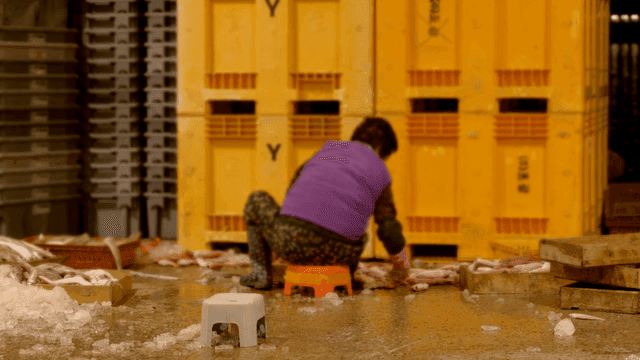 Fish sorting merchant in busy market