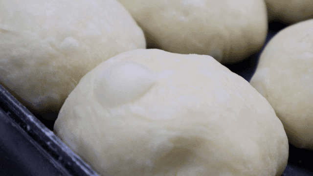 베이킹 트레이 위에서 부풀어 오르는 반죽