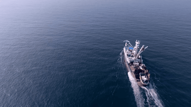 광활한 바다를 항해하는 배