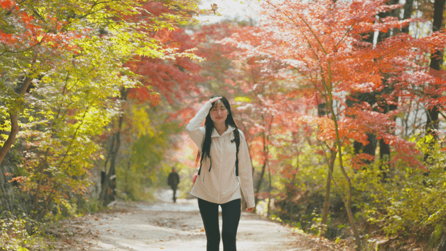 Young woman hiking up autumn forest trail