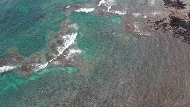 푸른 바다가 보이는 해변에 설치된 풍력 발전기