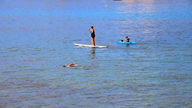 잔잔한 물에서 서핑과 카약 타기