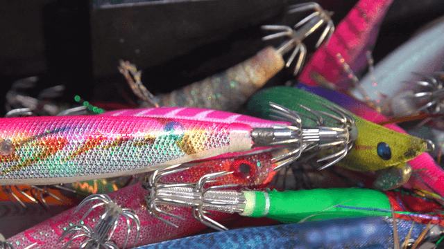 Colorful fishing lures in a tackle box