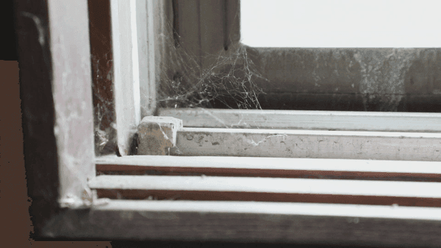 Dusty window frame with cobwebs