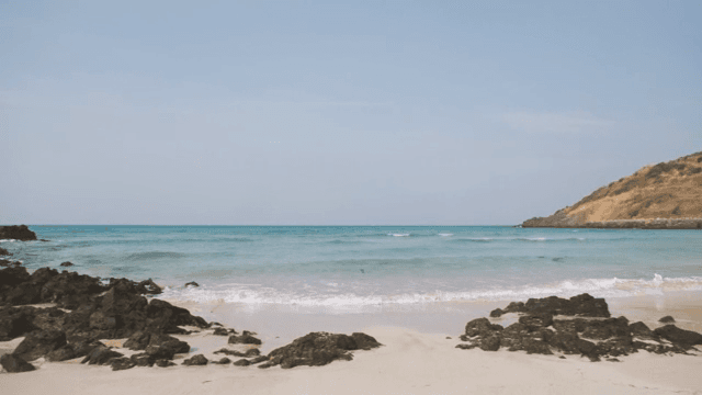 Tranquil beach with gentle waves