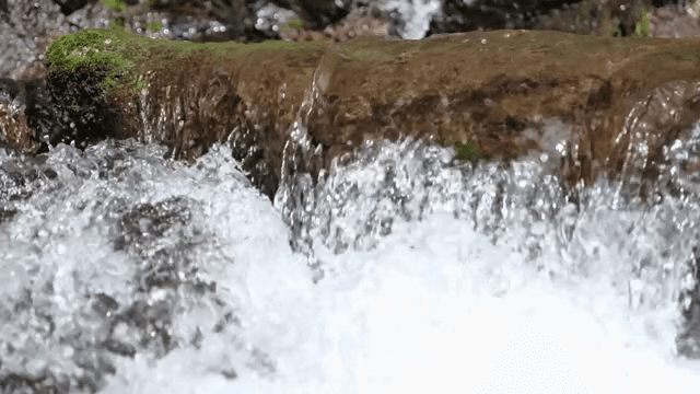 이끼 낀 바위를 흐르는 맑은 물